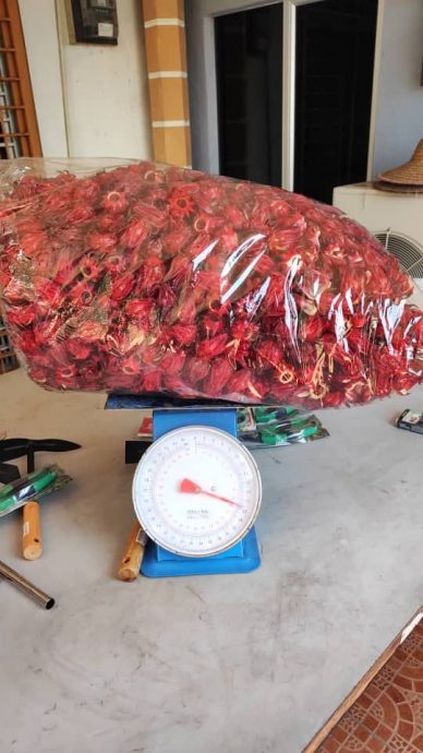 建议全国版:暖势力:登嘉楼马来西亚大学协助听觉障碍者自力更生,带领他们参加大学所推动的洛神花种植计划,让他们凭着自己的能力赚钱过活。