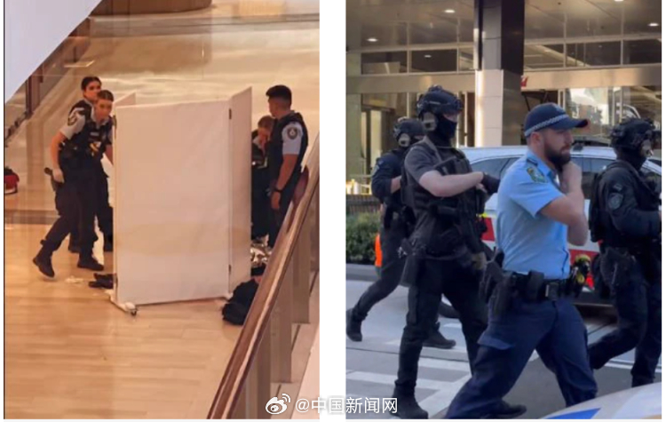悉尼发生无差别持刀行凶致4人死亡