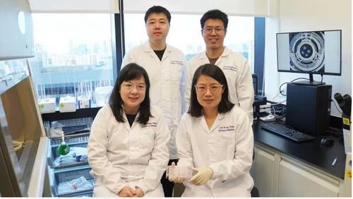 拼盘 未签 南大科学家培育出“迷你肾脏” 探讨治疗多囊肾病方法