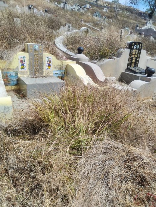 文德甲义山野草丛生 市民吁理事加强美化