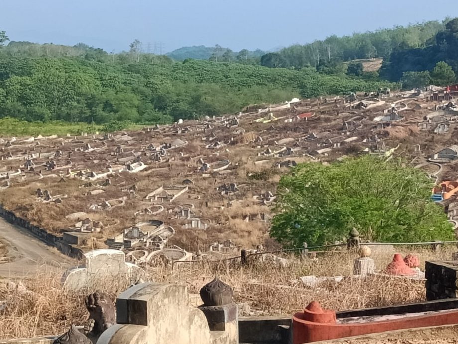 文德甲义山野草丛生 市民吁理事加强美化