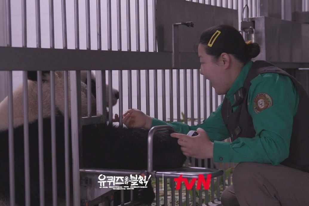 旅韩大熊猫“福宝”将拍成电影 《再见，爷爷》计划今年上映