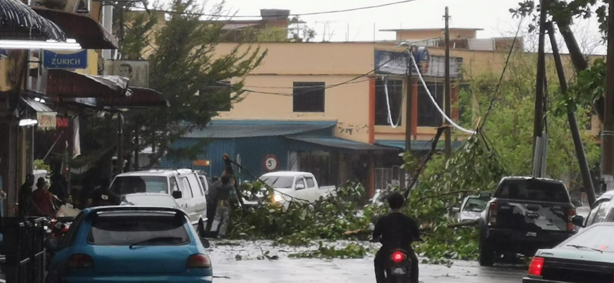 柔: 午后掀暴风雨 树倒屋顶被吹翻