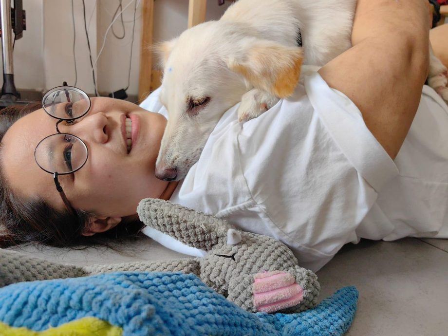 柔:【宠物萌萌哒】(4月6日刊):千言万语只一句“因为它值得”,林怡婷用爱让“花花”脱胎换骨