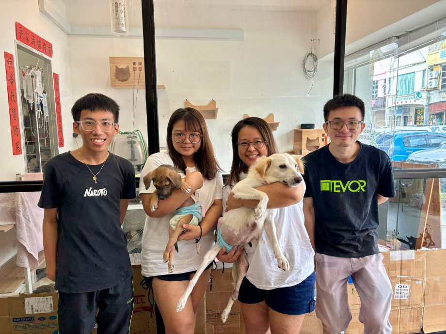 柔:【宠物萌萌哒】(4月6日刊):千言万语只一句“因为它值得”,林怡婷用爱让“花花”脱胎换骨