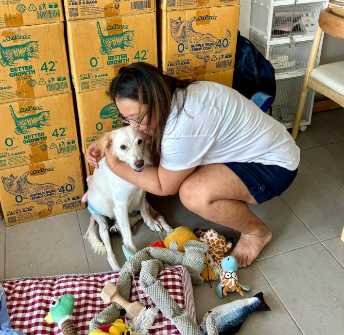 柔:【宠物萌萌哒】(4月6日刊):千言万语只一句“因为它值得”,林怡婷用爱让“花花”脱胎换骨