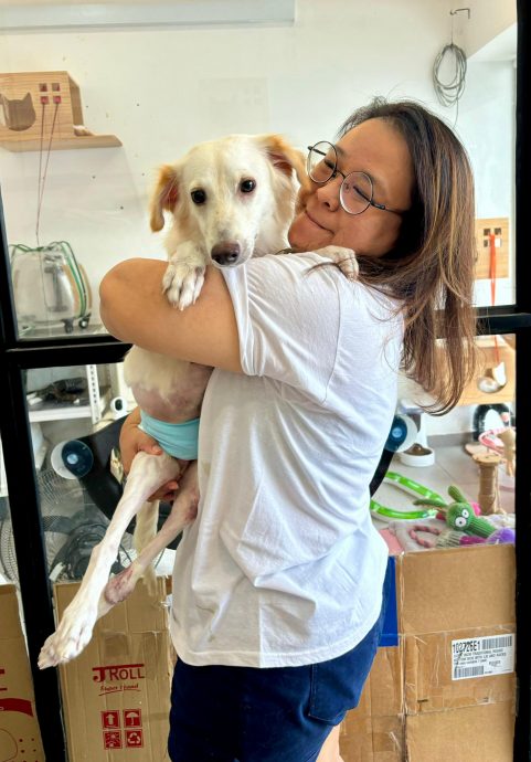 柔:【宠物萌萌哒】(4月6日刊):千言万语只一句“因为它值得”,林怡婷用爱让“花花”脱胎换骨