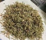 柔:【特稿】天气变化多端 中医师提醒防暑照顾好健康