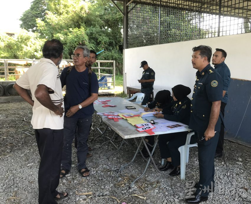 江沙市会拍卖6牛 获1万5500令吉