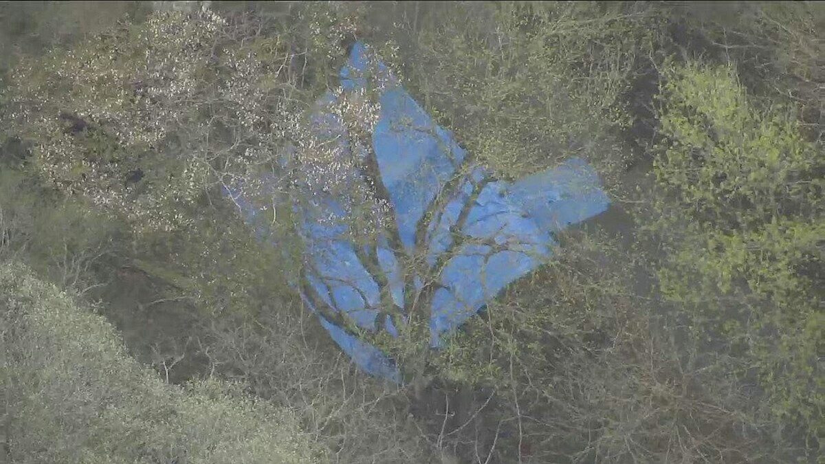 深山发现男女焦尸　男子自首警疑多人涉案