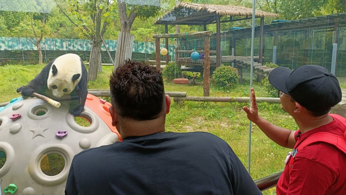 独家，光明请勿用