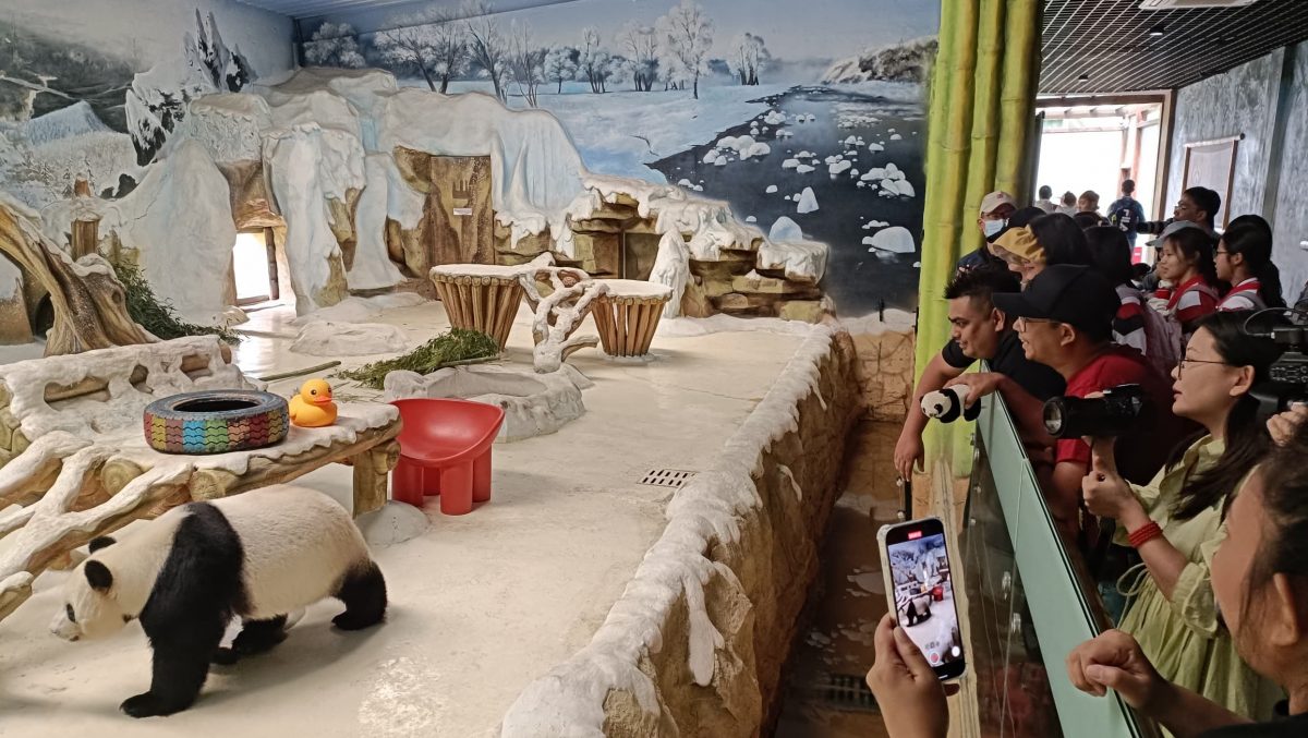 独家，光明请勿用