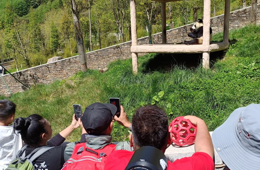 独家logo//探望暖暖后大马奶爸也来看升谊了