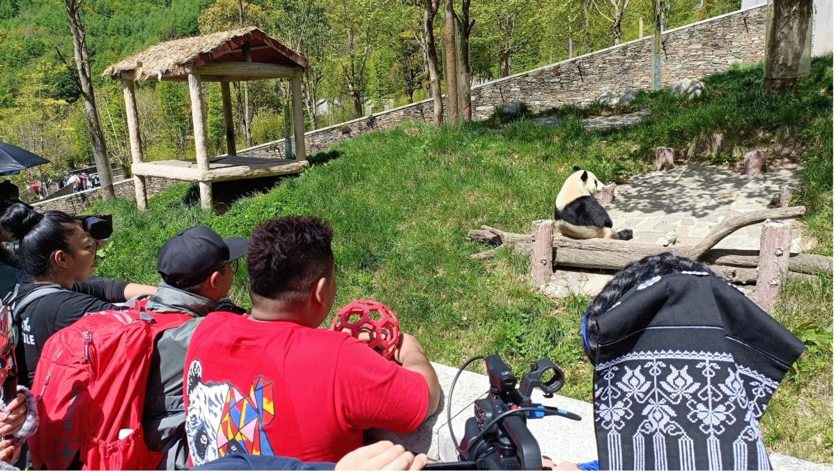 独家logo//探望暖暖后大马奶爸也来看升谊了