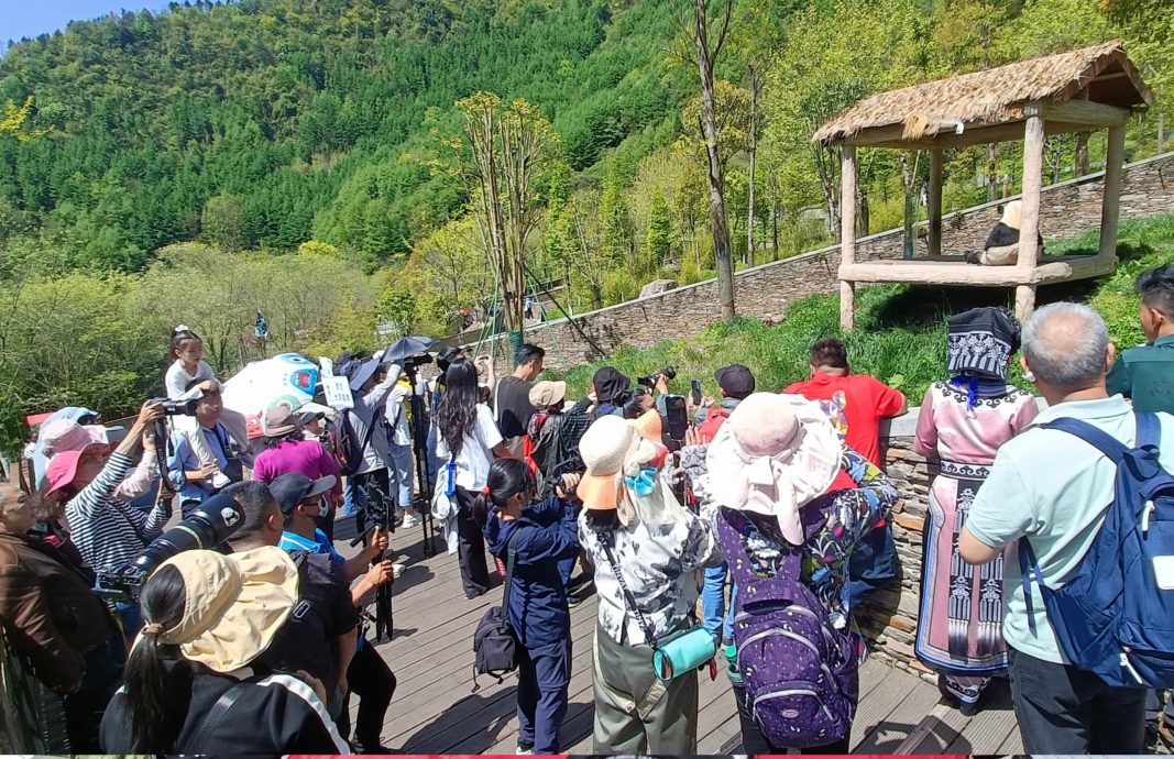 独家logo//探望暖暖后大马奶爸也来看升谊了