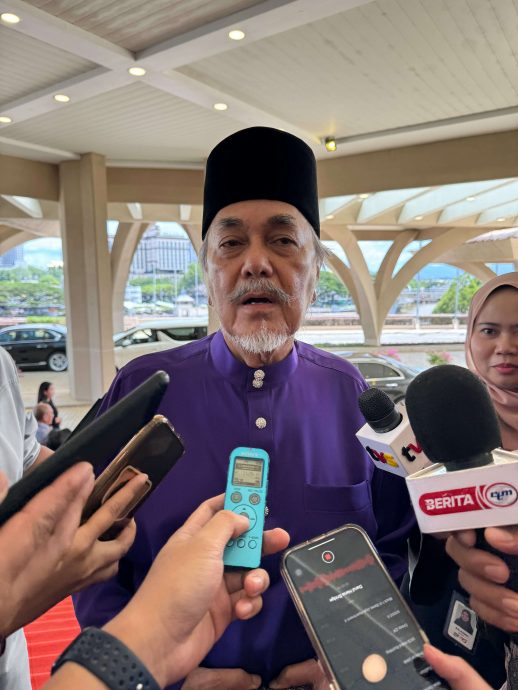 砂议长：3议席无需补选