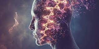 研究:形成长期记忆可能需要“烧脑”