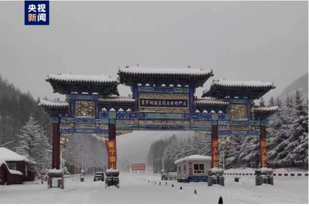 立夏前一周下雪！河北多地积雪30公分厚　民众：前一天还在穿短袖