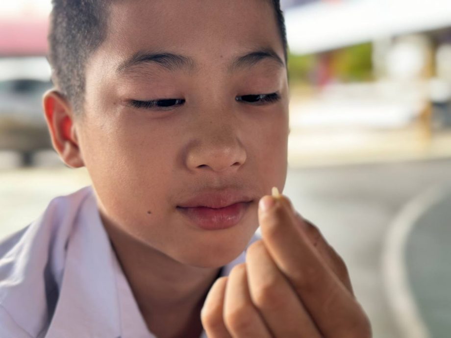 端洛百利华小学生好开心 校园栽种山米收割了