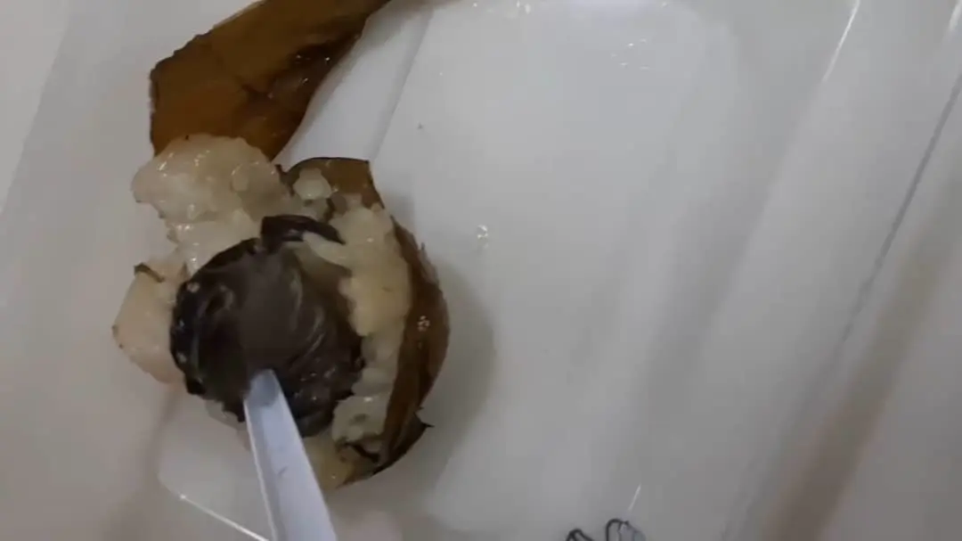 竹筒饭藏黑色死蛙 男子吓坏了