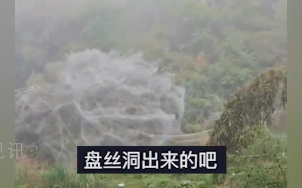 罕见奇景！　泉州一夜之间出现《西游记》盘丝洞