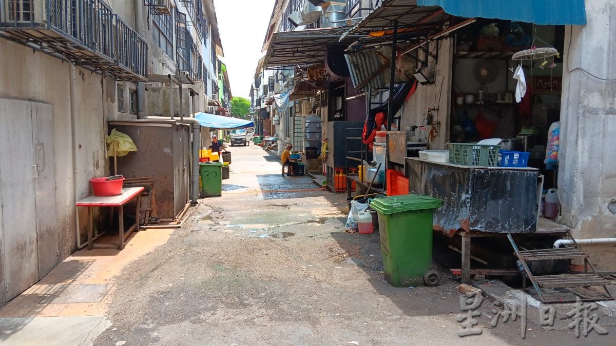 老鼠“品尝”杂饭店菜肴吓坏优大生 MPKJ到场检举开罚
