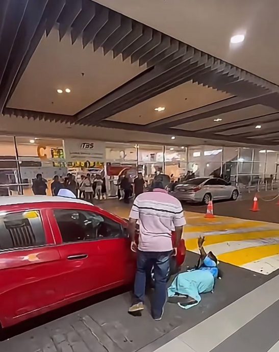 视频|现场目睹大马碰瓷事件 中网民笑称：“海外版的！”