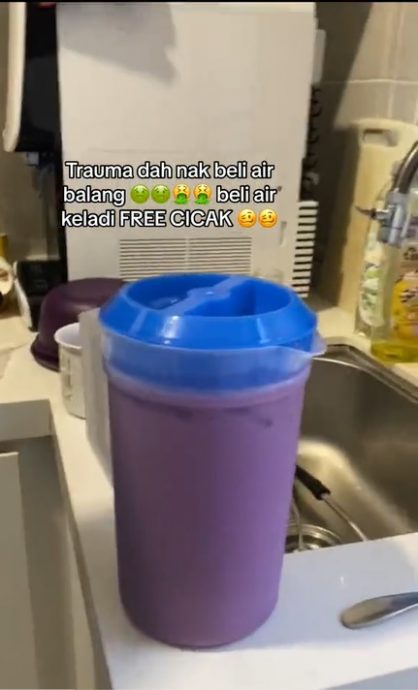 视频|路边摊食物再出事 芋头汁有死壁虎!