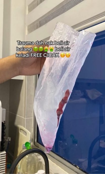 视频|路边摊食物再出事 芋头汁有死壁虎!