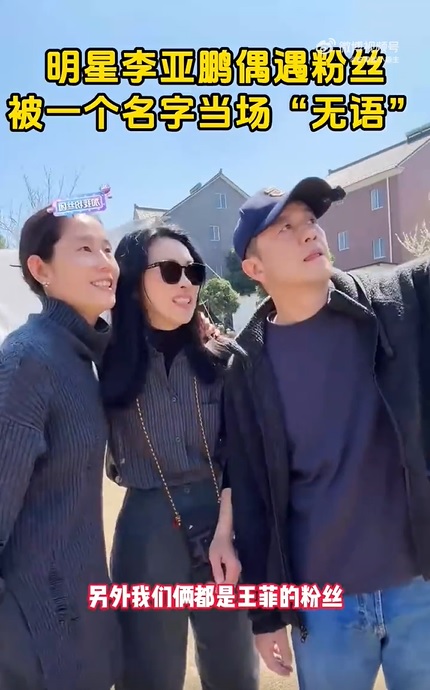 遇粉丝提王菲尴尬自嘲 李亚鹏被菲迷骂做作