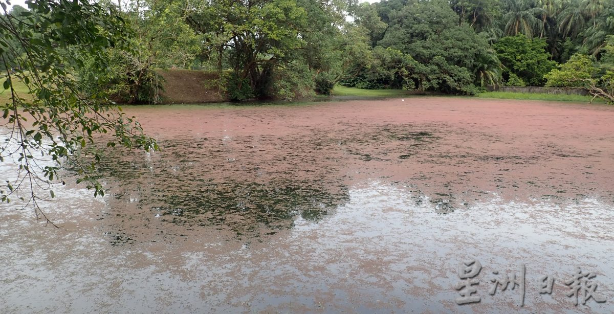 遭腐锈般物体覆盖 太平湖部分湖面呈褐色