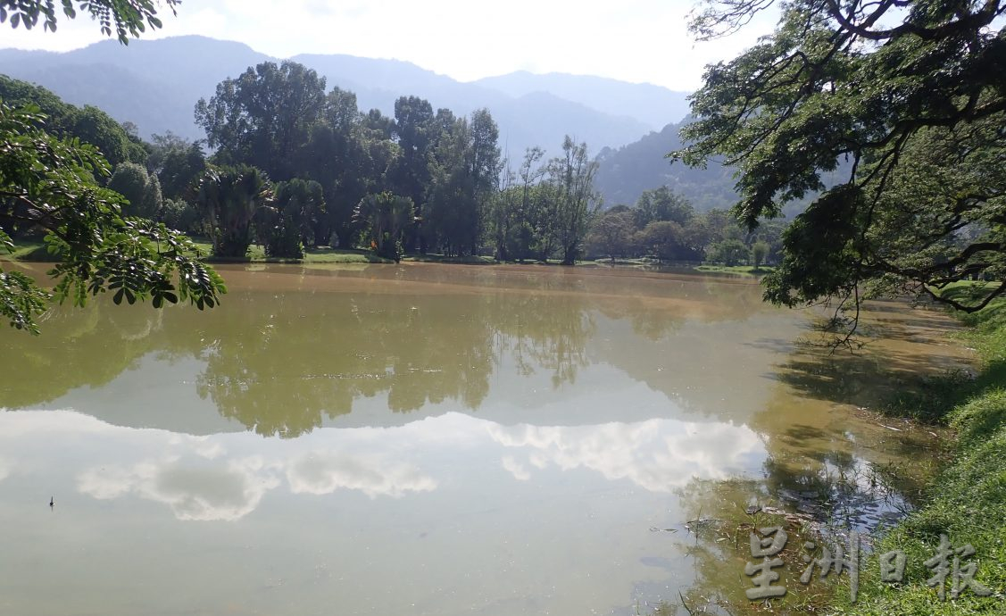 遭腐锈般物体覆盖 太平湖部分湖面呈褐色