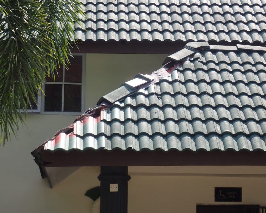 野猴大闹太平湖公园BMW公厕