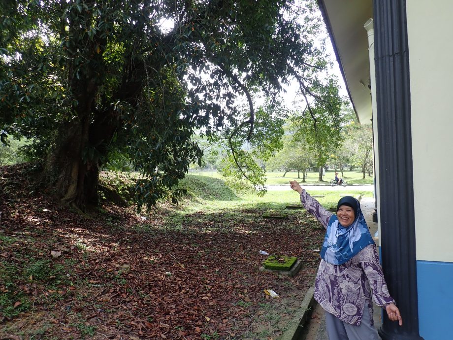 野猴大闹太平湖公园BMW公厕