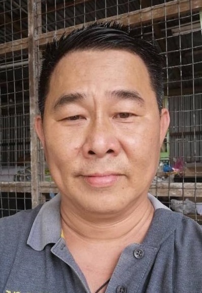 金马仑掀高原避暑观光热 倒树一度中断交通无阻游兴