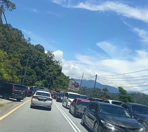 金马仑掀高原避暑观光热 倒树一度中断交通无阻游兴