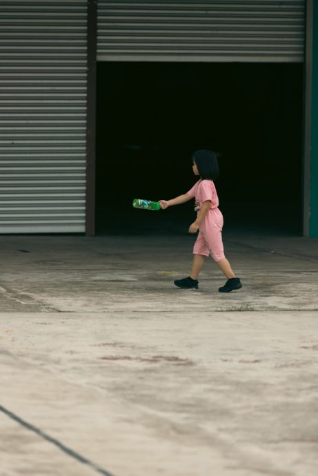  陈子韩／不朽的枯花