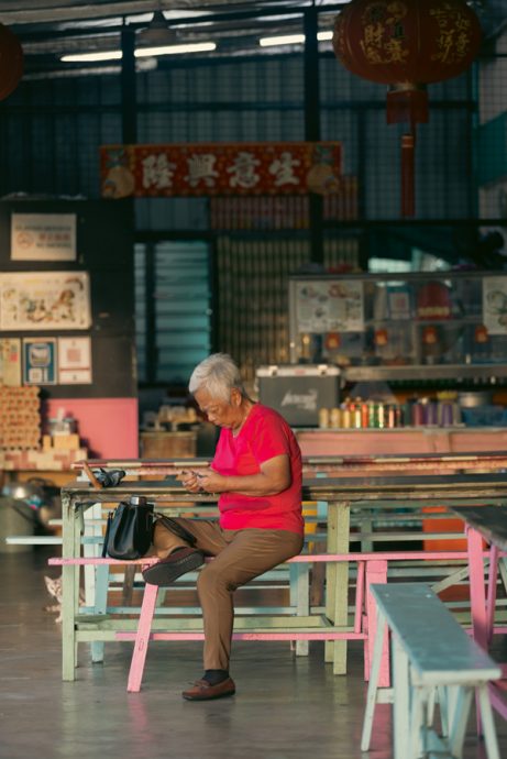  陈子韩／不朽的枯花