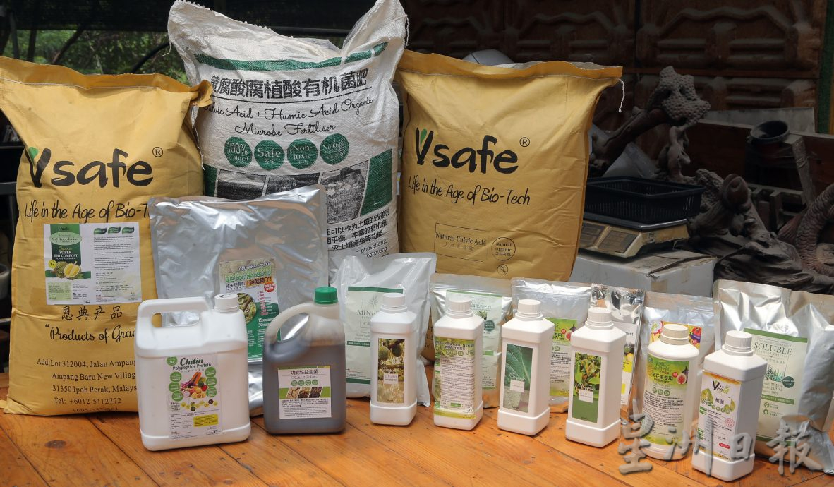 霹:农的传人／粪便不宜直接施肥 有机种植需时养泥