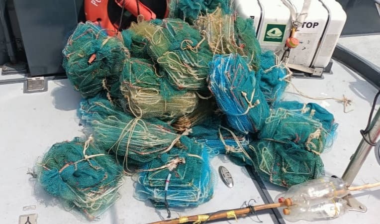 霹/起获57套蜈蚣网