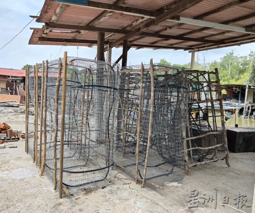 霹:4月10日见报/封底主文/它的诞生/制作渔笼