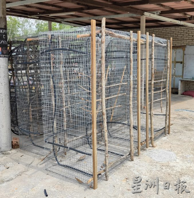 霹:4月10日见报/封底主文/它的诞生/制作渔笼