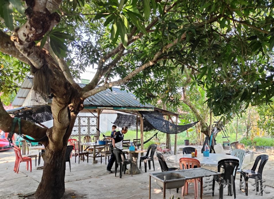 霹:6日见报/封底主文/老茶室情怀︱万裕成阿花茶餐室