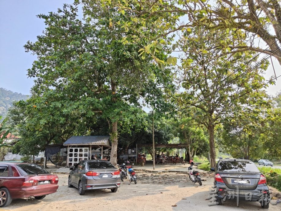 霹:6日见报/封底主文/老茶室情怀︱万裕成阿花茶餐室