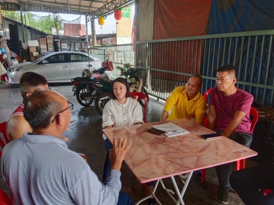 黄彩仪:解决土地合法性问题 政府地保留为柚子种植地