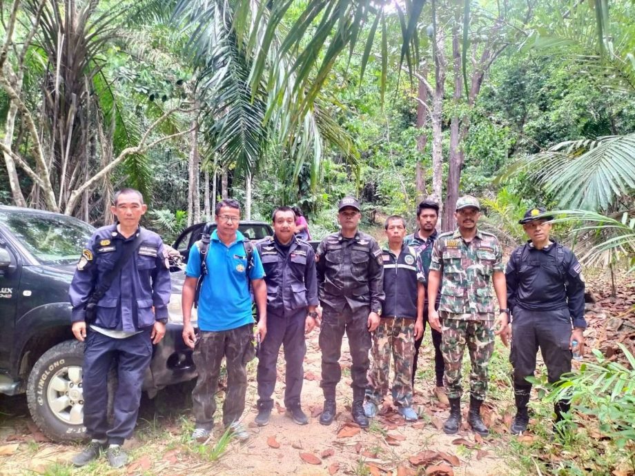（全国版）马泰边境森林区有马来貘出没，泰南泰阪国家公园附近发现受伤马来膜