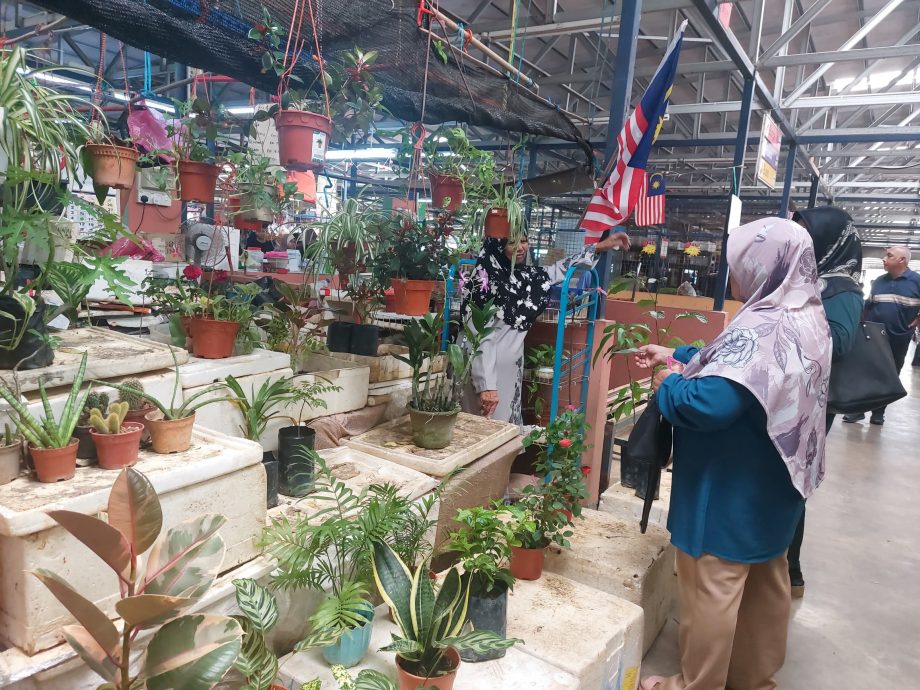 (全国版#MZB计划)华裔女孩向友族妇女学编织马来粽空袋