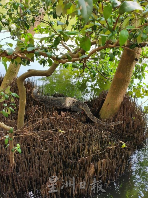 （古城封底主文）《用眼睛去旅游》：甲河畔红地毯
