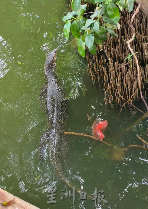 （古城封底主文）《用眼睛去旅游》：甲河畔红地毯