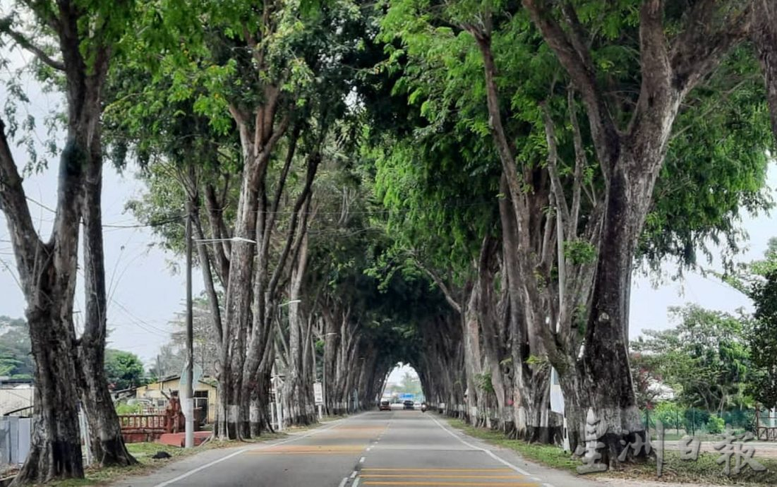 (古城封面主文)武吉卡迪通往鲁容路两年后提升为4车道